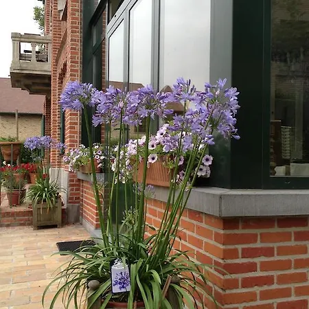 Bed & Breakfast Het Tijdloze Uur